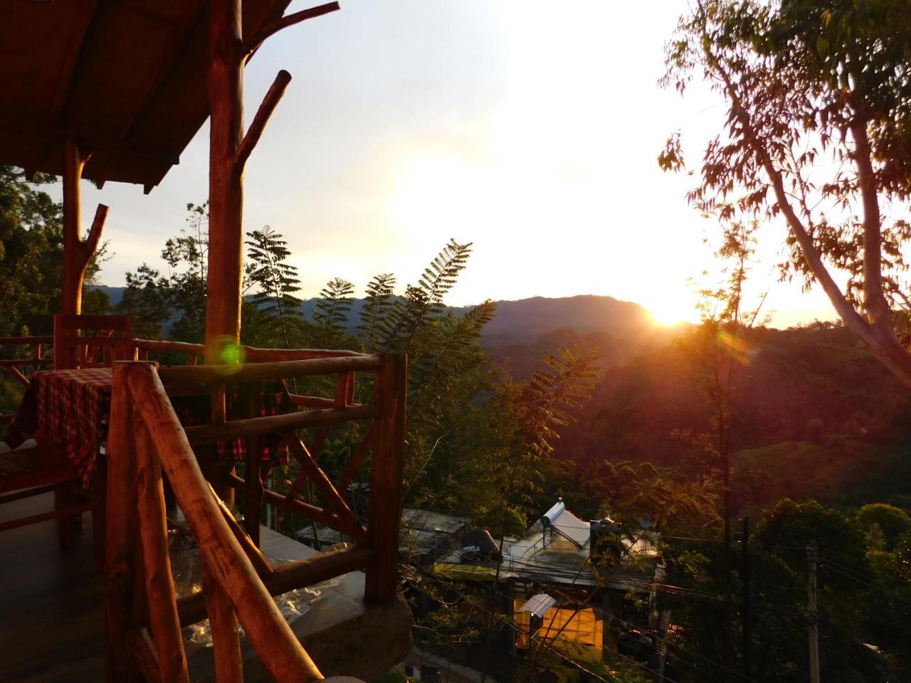Sunlit Cottage Элла Экстерьер фото